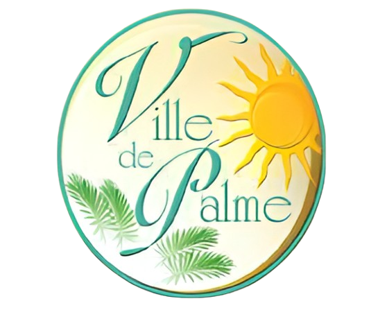 VehiScan Logo